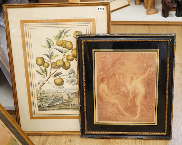 After Thomas Stothard RA (1755-1834), ‘Adam and Eve with the archangel Raphael’, sanguine stipple engraving, together with after Johann Christoph Volkamer (German, 1644-1720), 'Aranzi Nanini Da China', colour botanical h